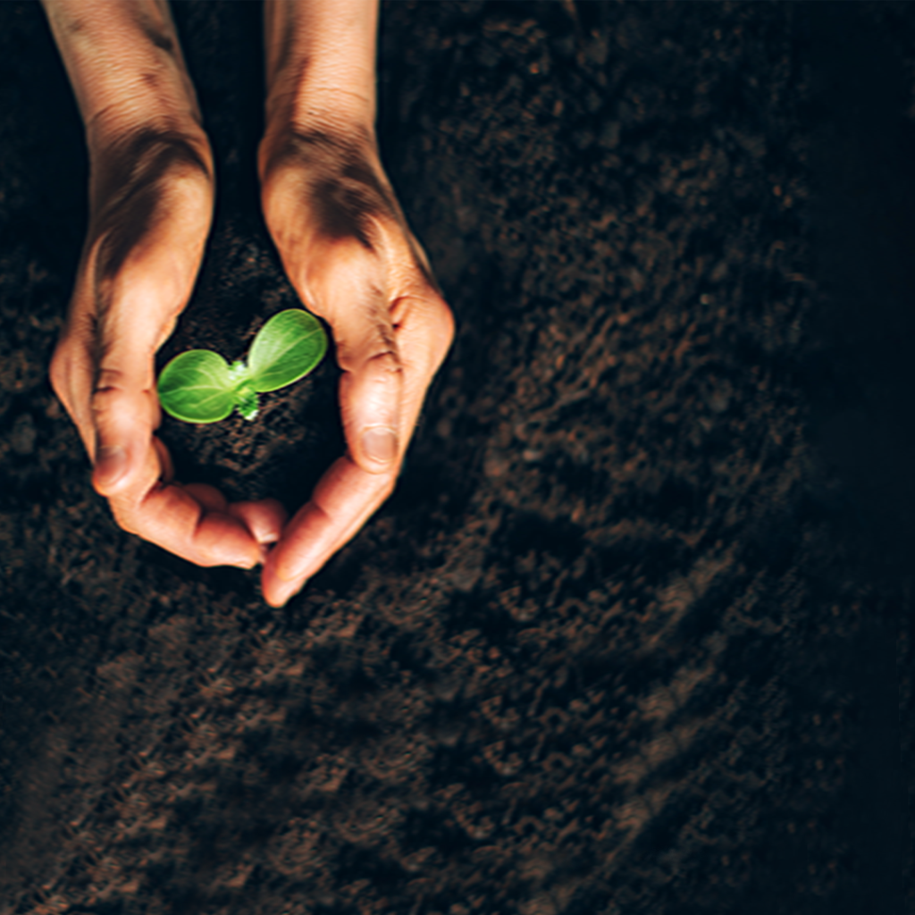 Migrações e desenvolvimento sustentável