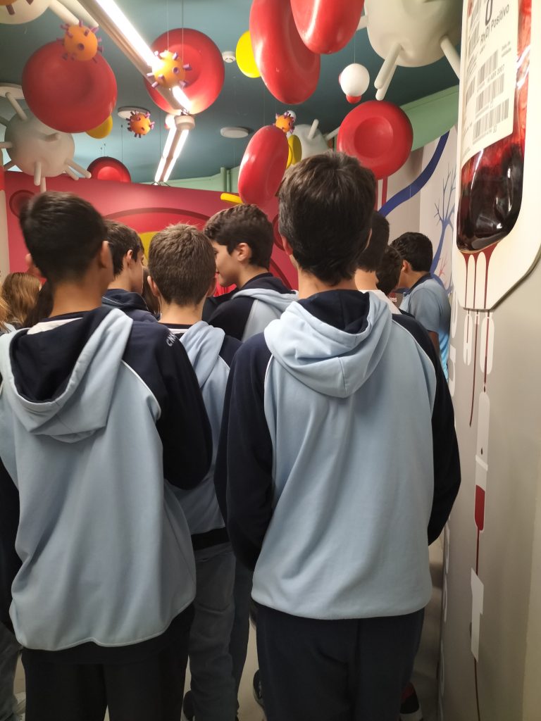 IMG20221109161144